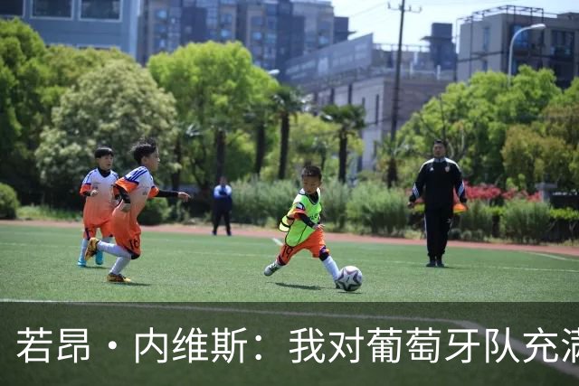 若昂·内维斯：我对葡萄牙队充满信心，我们会改进不足